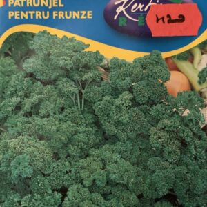 Metélőpetrezselyem