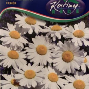 Óriás margitvirág