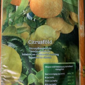 Citrusföld