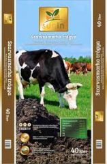 Szarvasmarha trágya