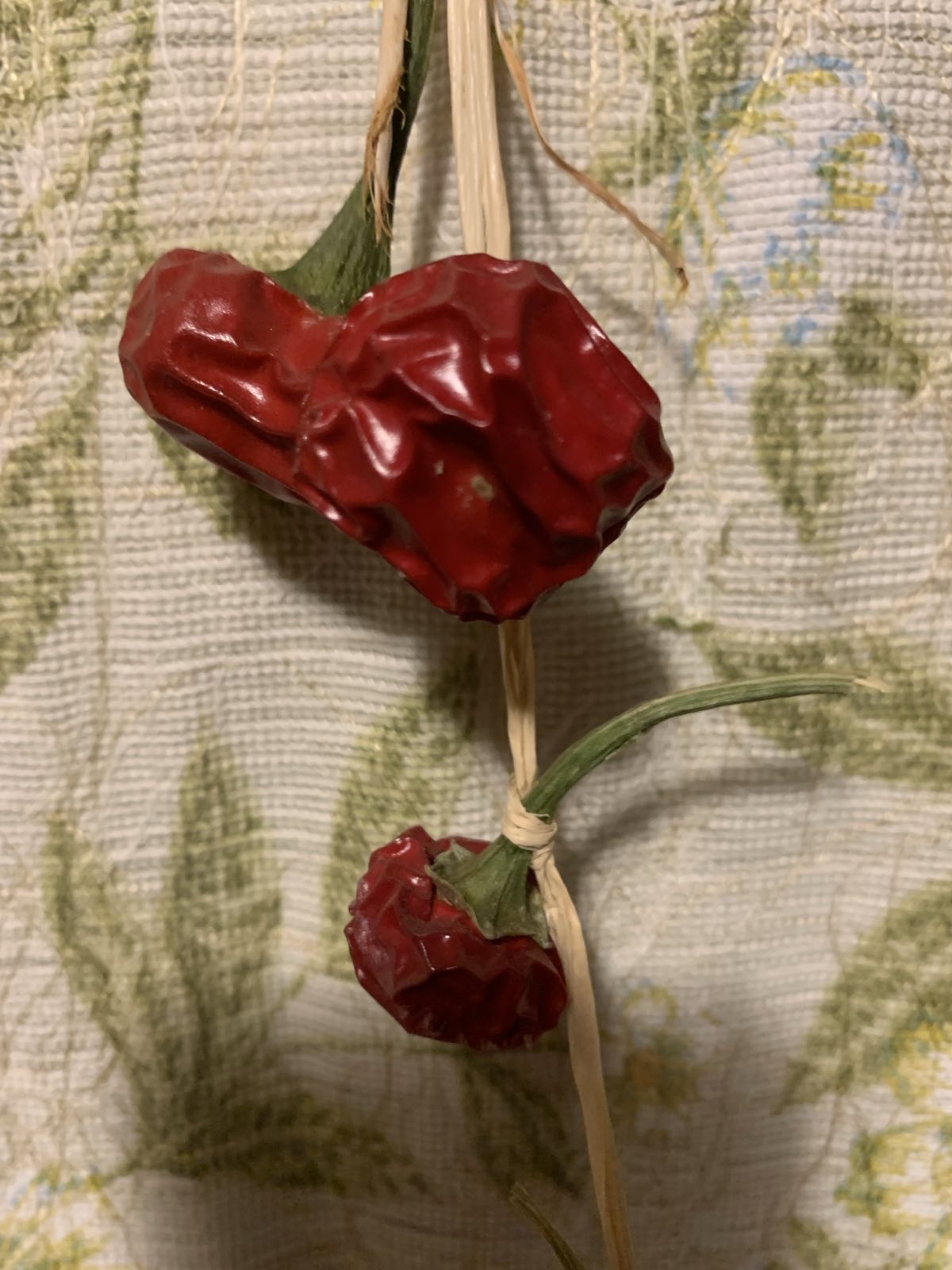 Bogyós paprika (piros, csípős)
