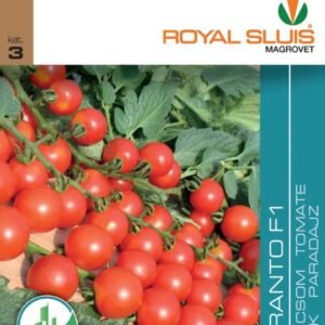 Paradicsom / Curranto F1